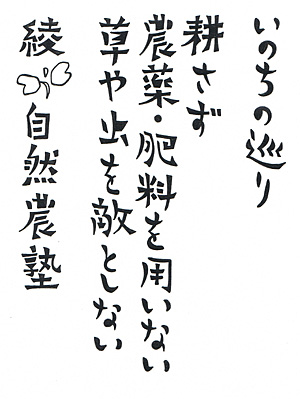 いのちの巡り ”耕さず、農薬・肥料を用いない、草や虫ちを敵としない”　綾自然農塾