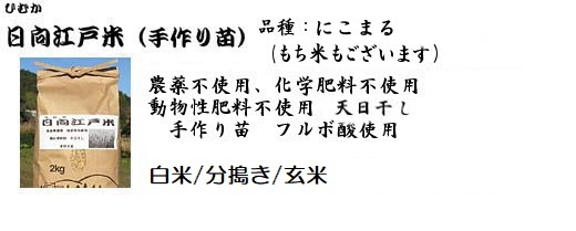 日向江戸米（手作り苗）品種：にこまる・もち米　完全無農薬、除草剤不使用、無化学肥料、天日干し　玄米/白米 １ｋｇ　1000
				円