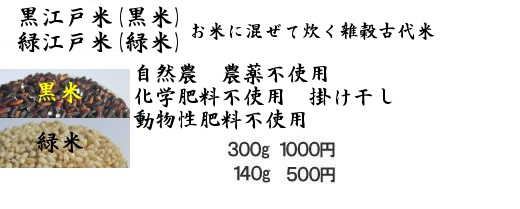 黒江戸米（黒米、古代米）完全無農薬、除草剤不使用、無化学肥料、掛干し　３００g　１０００円　１４０g　５００円